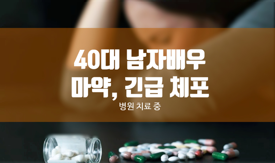 40대 남성 배우 A 씨 마약 투약 혐의 체포 강남구 논현동 2006년 조연 데뷔