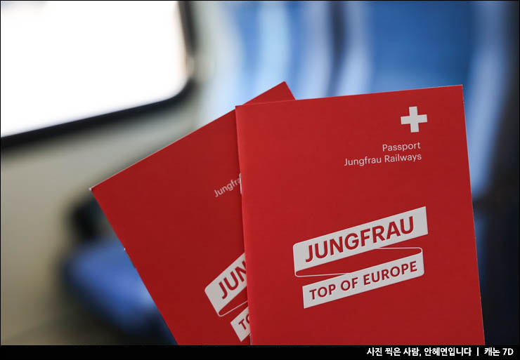 스위스 여행 융프라우 기차 신라면 날씨 웹캠 높이