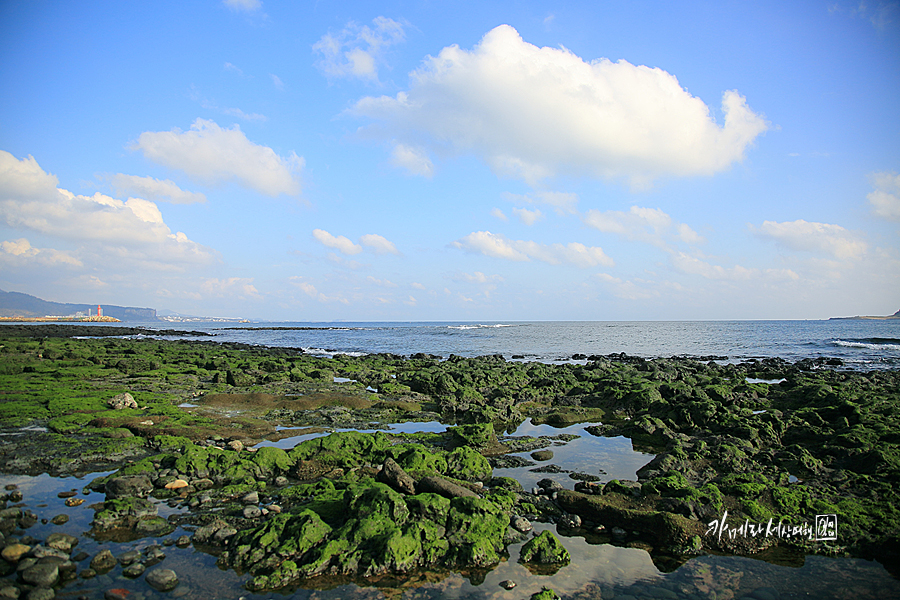 제주 남쪽 가볼만한곳 제주도 관광 코스 제주 서귀포 놀거리