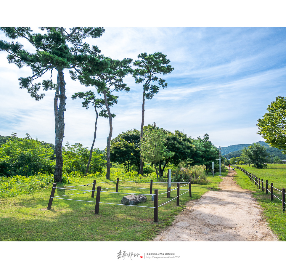 인천 강화도 여행 강화 고인돌 유적 볼거리 당일치기 드라이브 코스