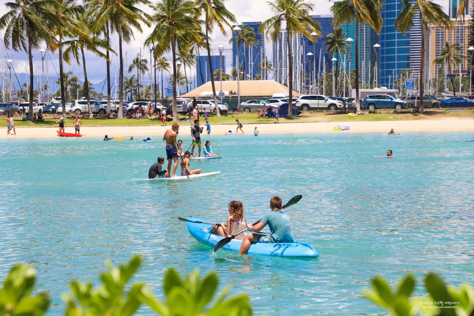 하와이 날씨 + 미국 하와이 포켓와이파이 도시락 할인 tip