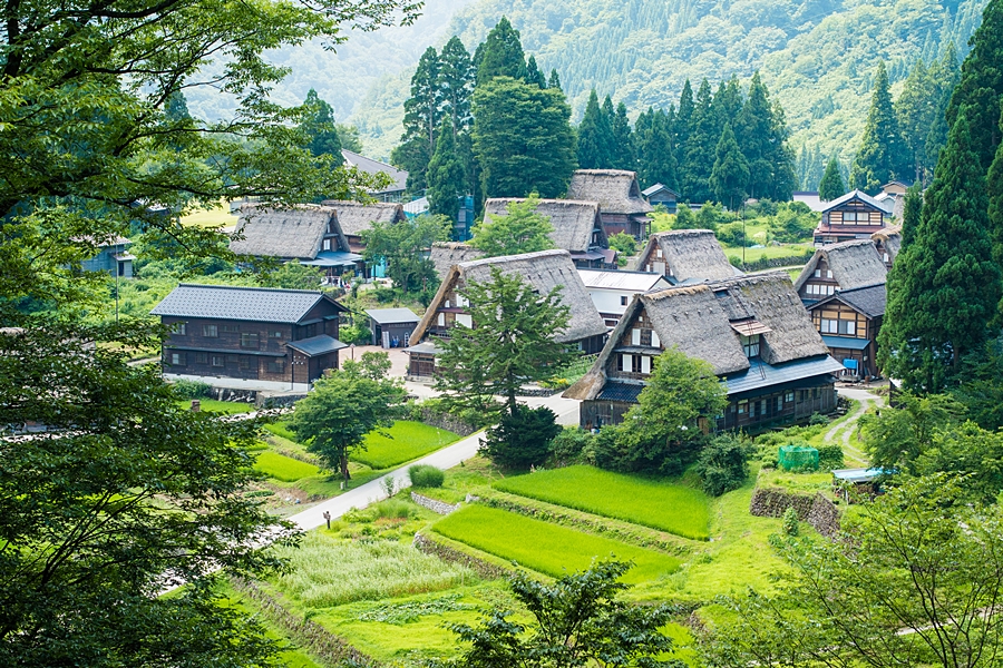 일본 여행 부분적인 자유여행 가능 추천하고 싶은 여행지 Best 5