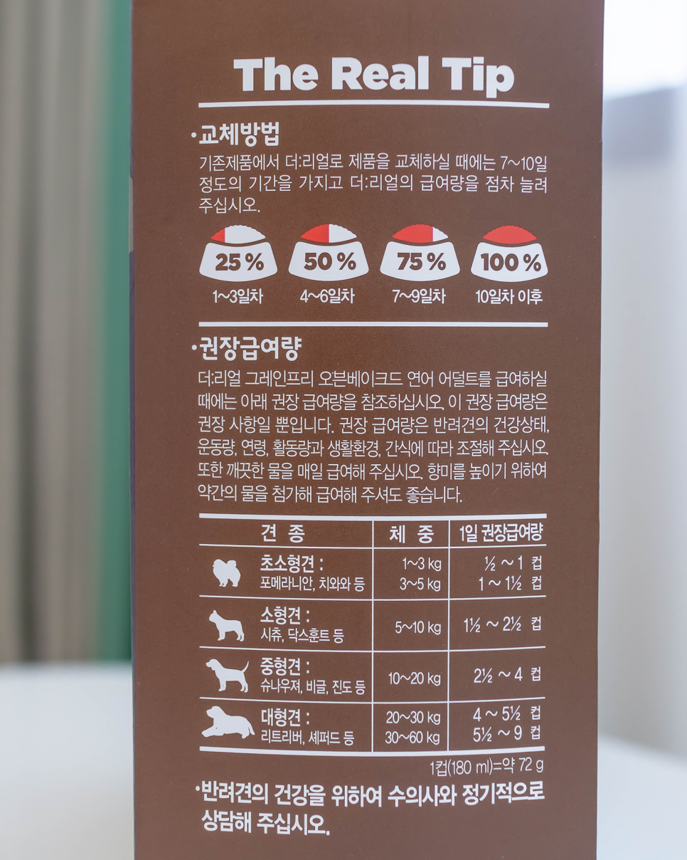 필리핀 세부 자유여행 시티투어 시라오가든, 세부 맛집, 세부 쇼핑리스트까지!