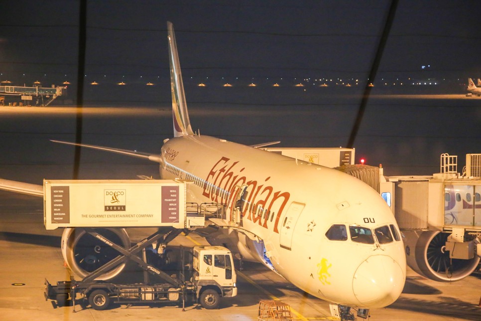 아프리카 여행 에티오피아 항공 타고 다녀온 에티오피아여행