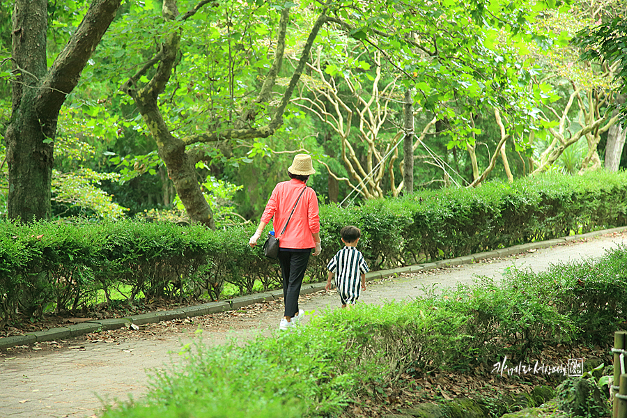 제주 한라 수목원 제주도 숲길 나홀로 여행 걷기 좋은 길