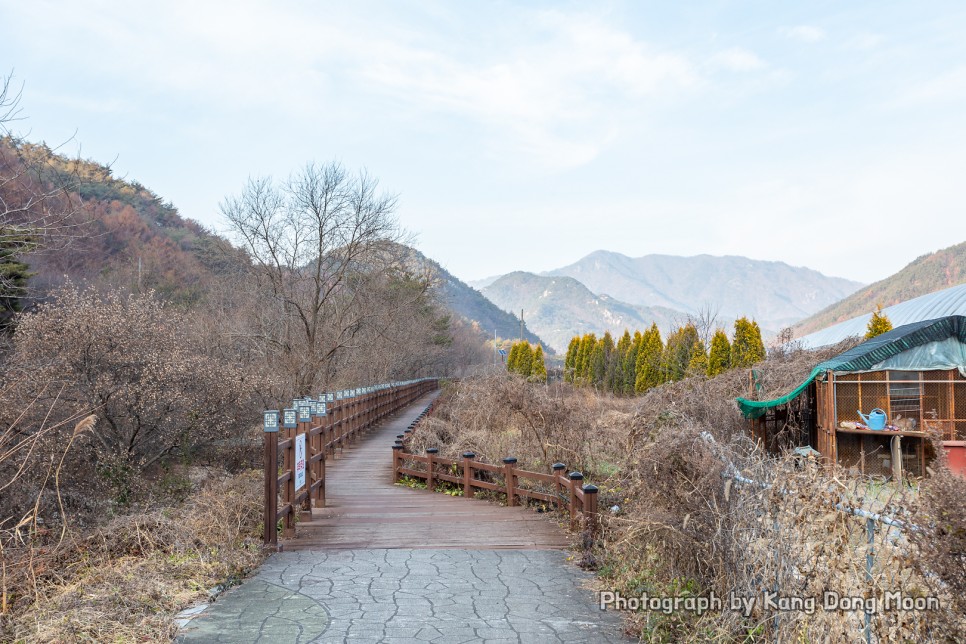 경상도 경북 오토 캠핑장 추천 장소 감성 캠핑 준비물 리스트 잘 챙겨 상주 가을캠핑