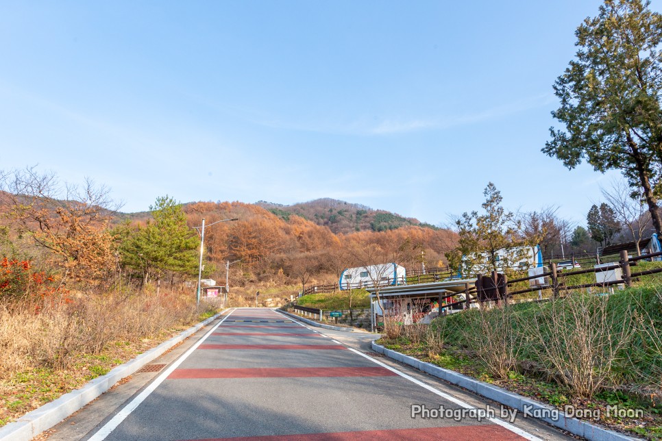 경상도 경북 오토 캠핑장 추천 장소 감성 캠핑 준비물 리스트 잘 챙겨 상주 가을캠핑