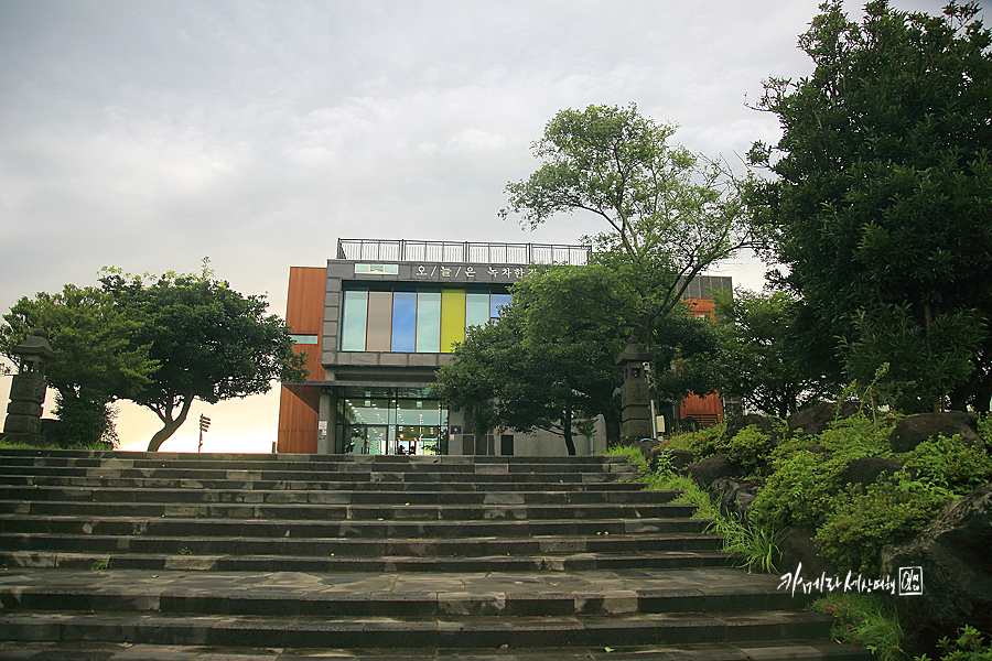 제주 서귀포 가볼만한곳 제주도 가을 여행지 핫플 제주 관광지