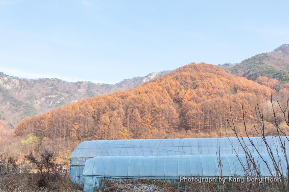 경상도 경북 오토 캠핑장 추천 장소 감성 캠핑 준비물 리스트 잘 챙겨 상주 가을캠핑