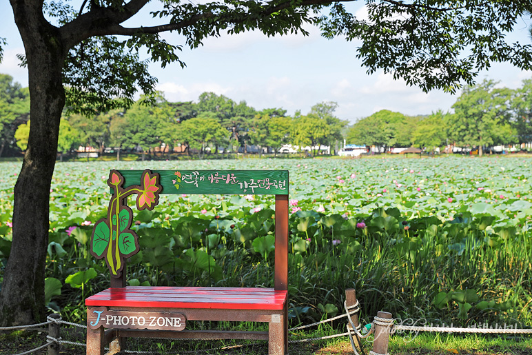 진주 강주연못 공원 산책 경남 데이트 코스