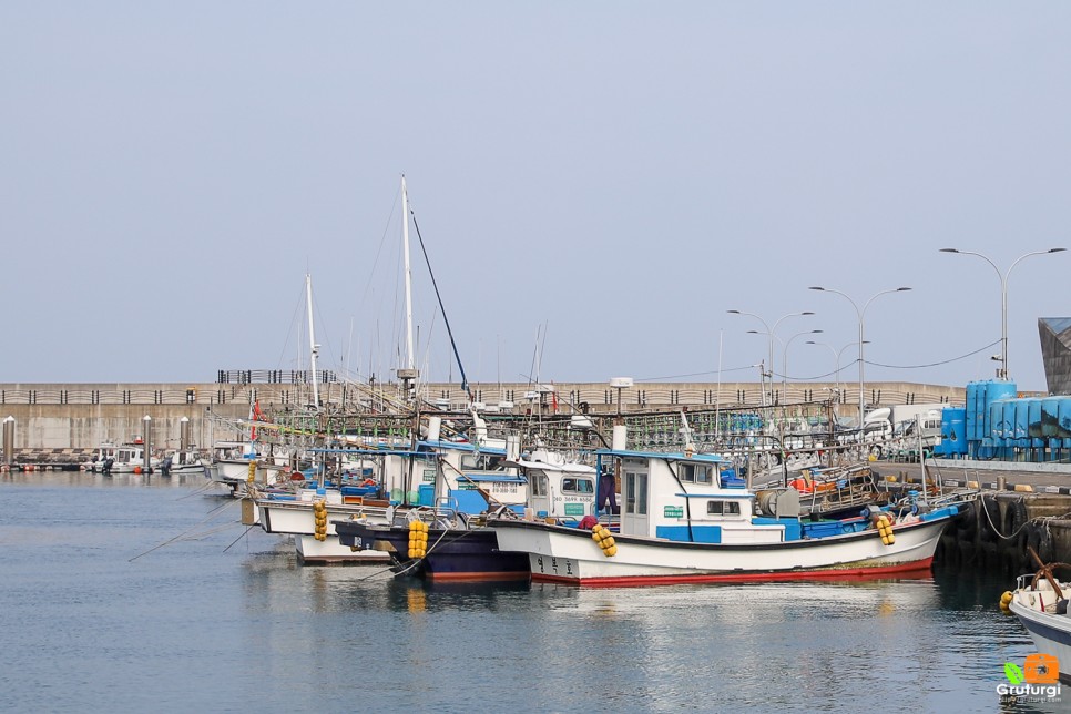 제주도 먹거리 제주 해안도로 도두항 도두해녀의집 제주도 물회