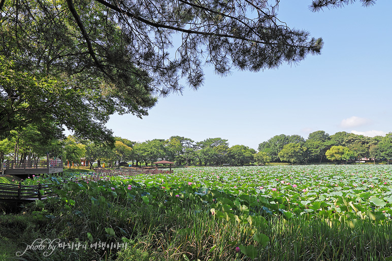 진주 강주연못 공원 산책 경남 데이트 코스