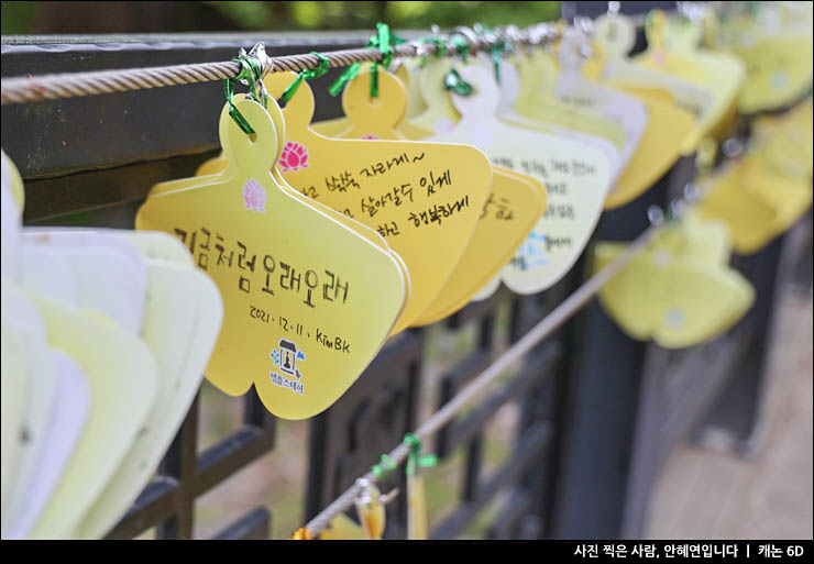 양평 가볼만한곳 경기도 양평 여행 데이트코스 놀거리