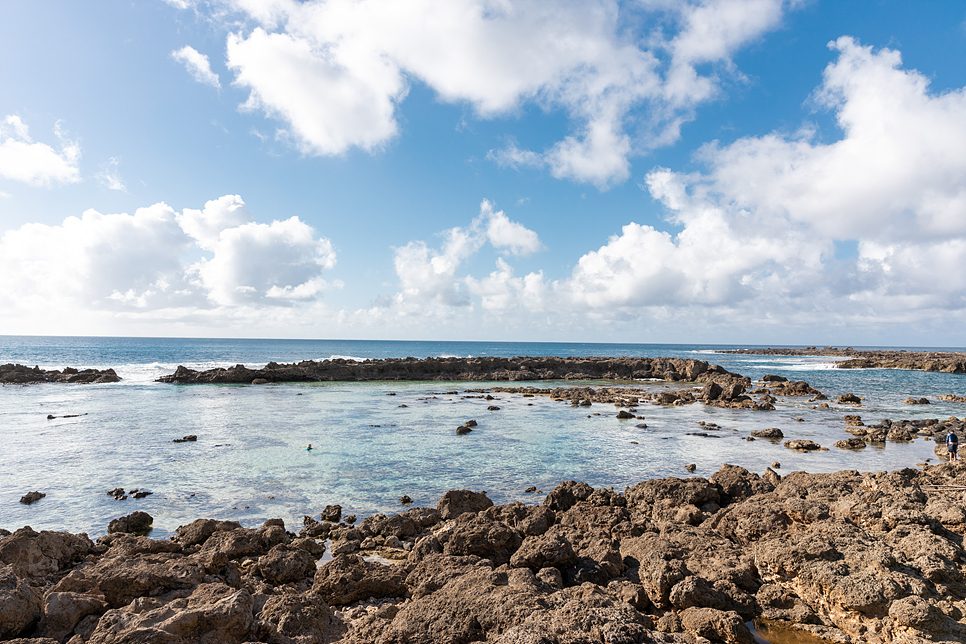하와이 여행 경비와 비용 오아후 섬과 마우이 섬