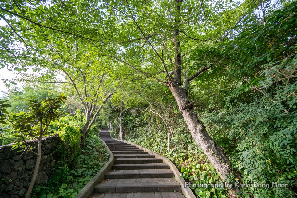 9월 제주도 여행 가족여행 코스 동생과 제주시 가볼만한곳 제주 오름 추천 사라봉