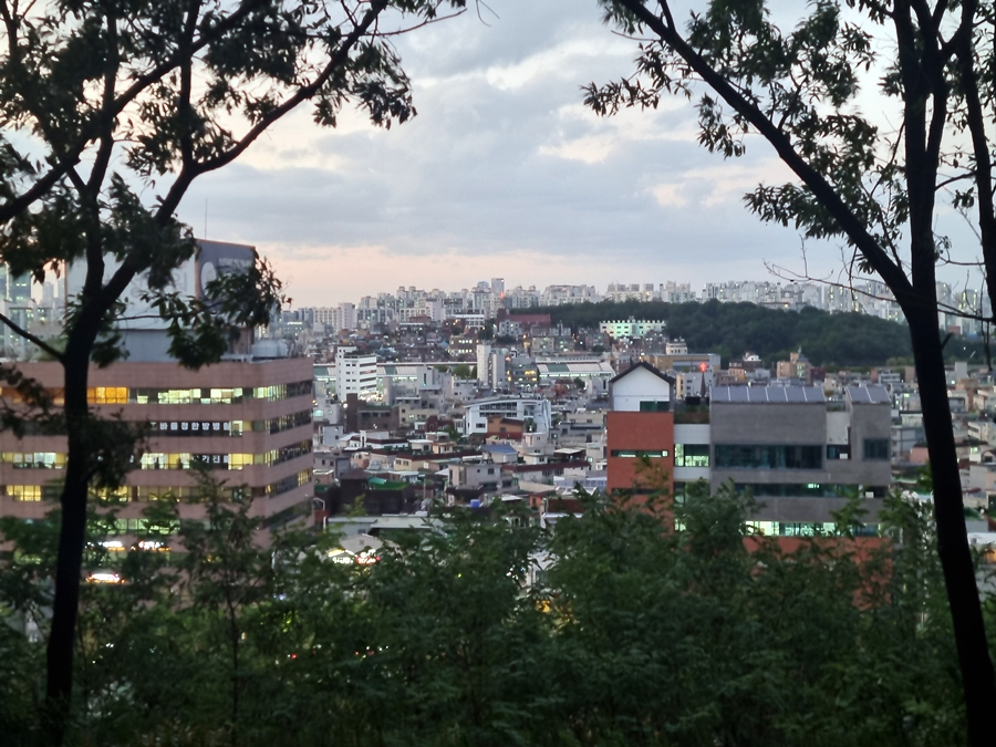 신림근린공원 밤 산책, 주간일기 15주차