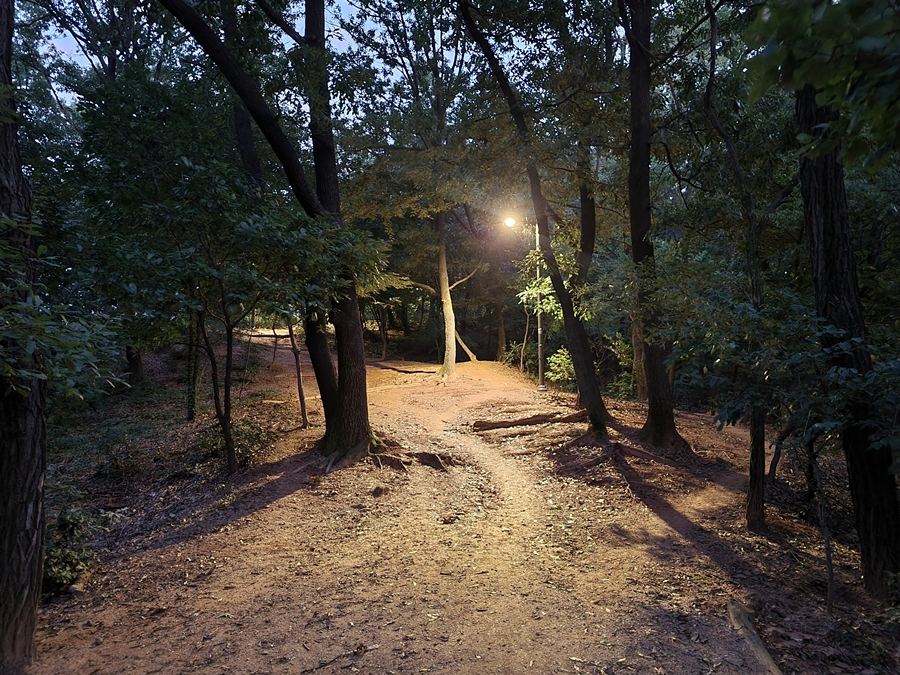 신림근린공원 밤 산책, 주간일기 15주차