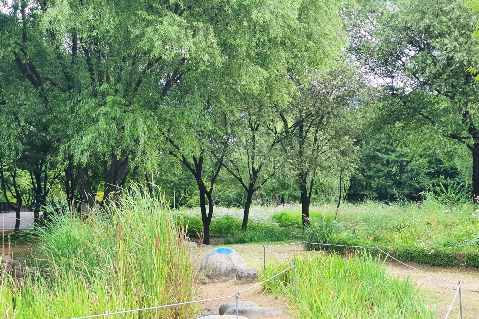 서울 도봉산 창포원 산책하기좋은곳 걷기좋은길 까지