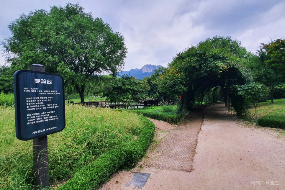 서울 도봉산 창포원 산책하기좋은곳 걷기좋은길 까지