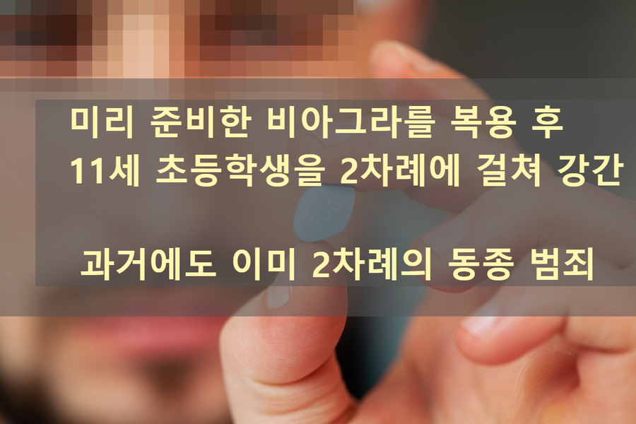 80대 은퇴공무원 비아그라 먹고 초등학생 11세 여아 성폭행 혐의 구속