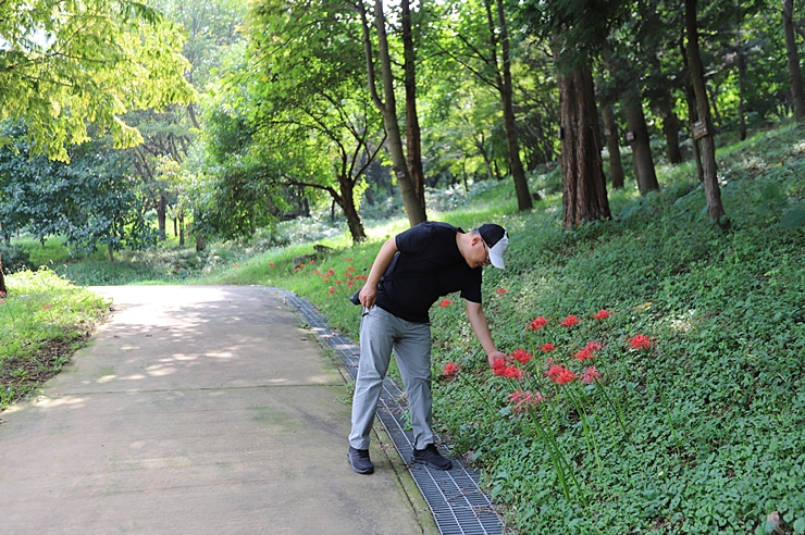 예산 가볼만한곳 예당호 출렁다리, 예산황새공원, 봉수산 자연휴양림, 치유의숲