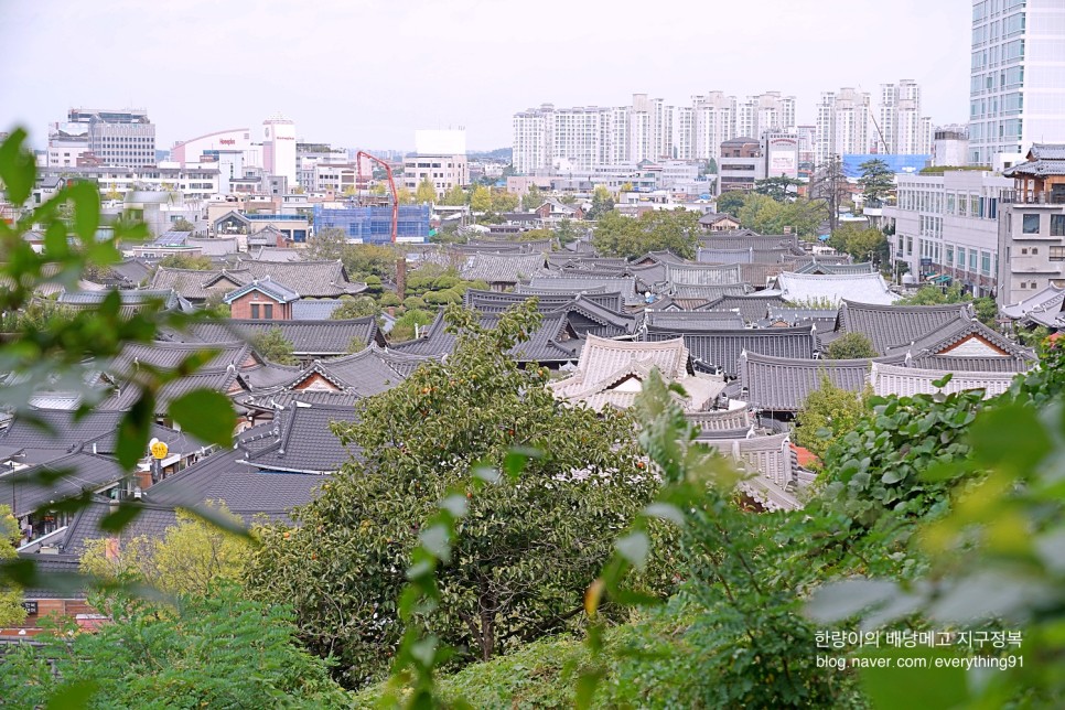 전주 가볼만한곳 드라마 촬영지 맛집 경기전 수목원