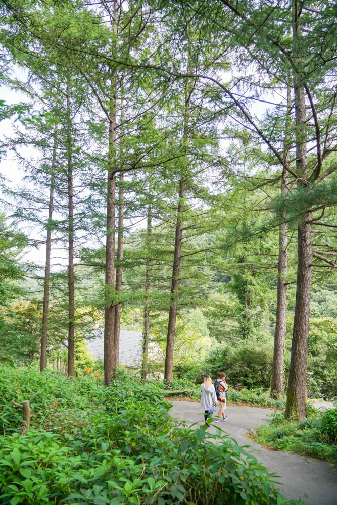 서울근교 당일치기 여행 가평 아침고요수목원 10월 가을여행 추천