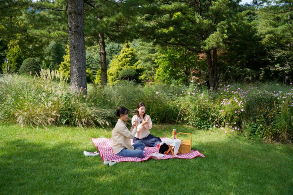 서울근교 당일치기 여행 가평 아침고요수목원 10월 가을여행 추천