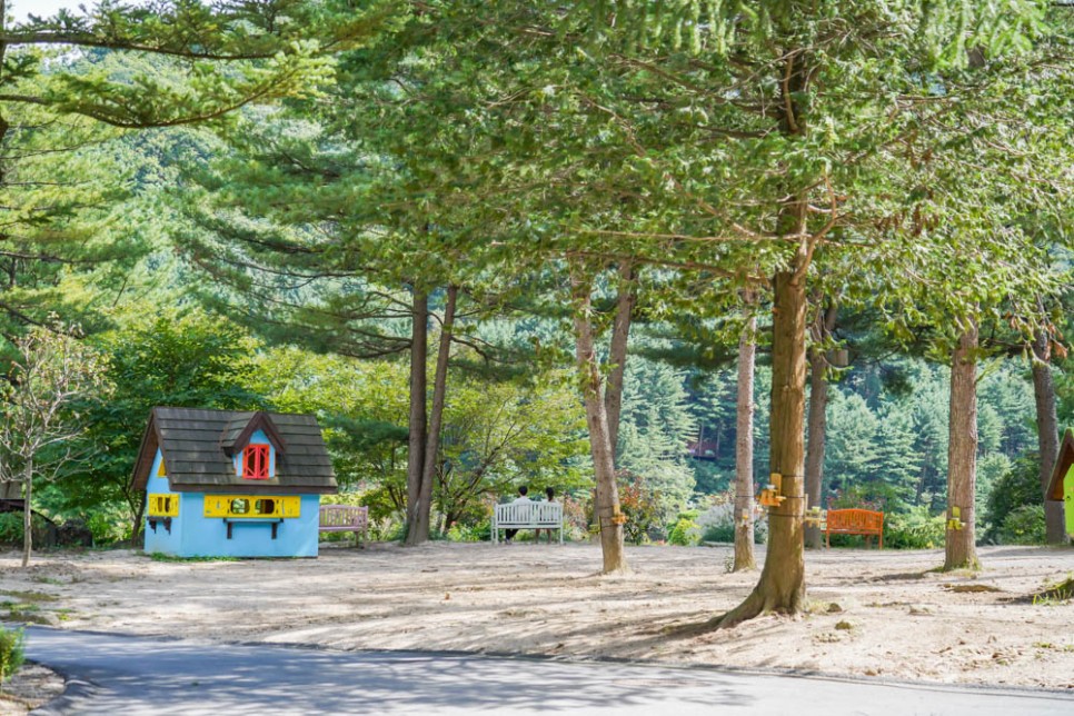 서울근교 당일치기 여행 가평 아침고요수목원 10월 가을여행 추천