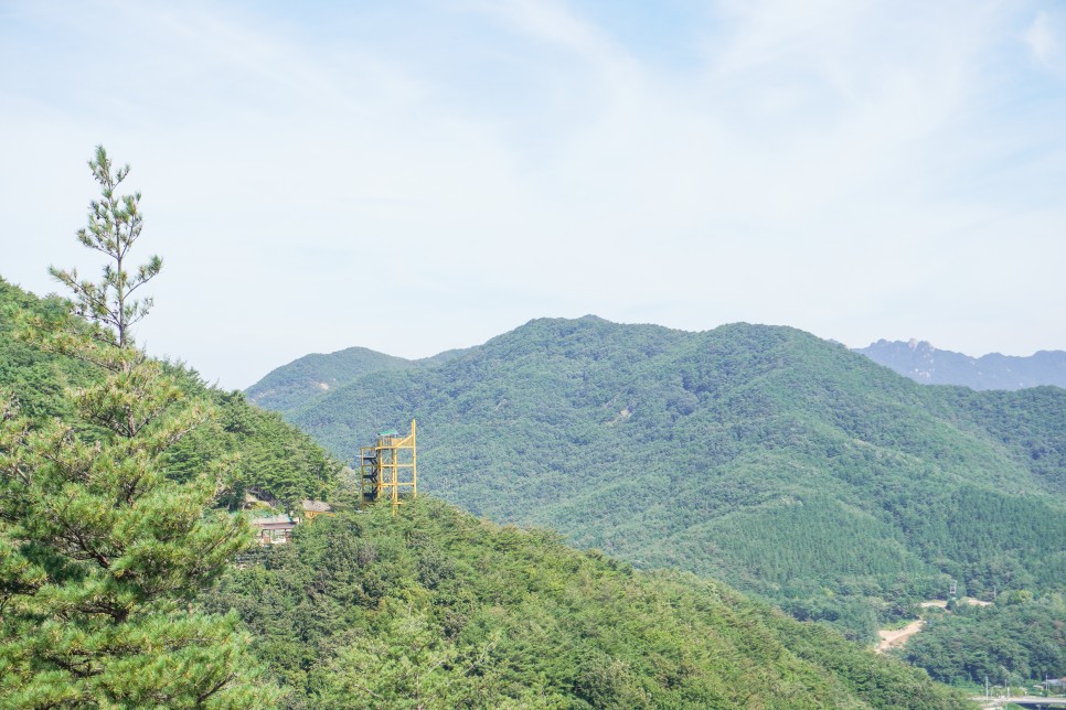충북 보은가볼만한곳 말티재 전망대  속리산 테마파크  모노레일 법주사 솔향공원 스카이바이크