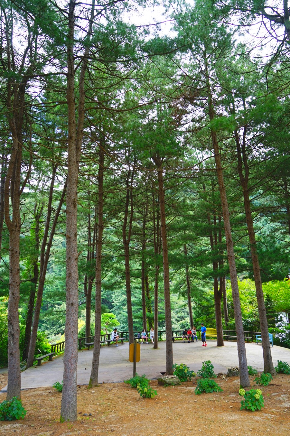 가평 가볼만한곳 아침고요수목원 서울근교 데이트 코스