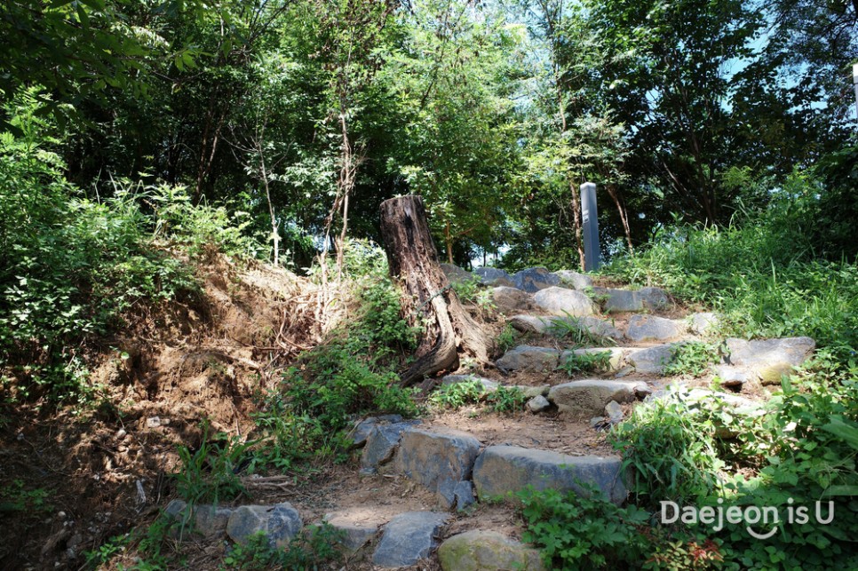 산 정상에서 타는 흔들그네, 밤 산책 코스가 멋진 송촌스포렉스 뒷산