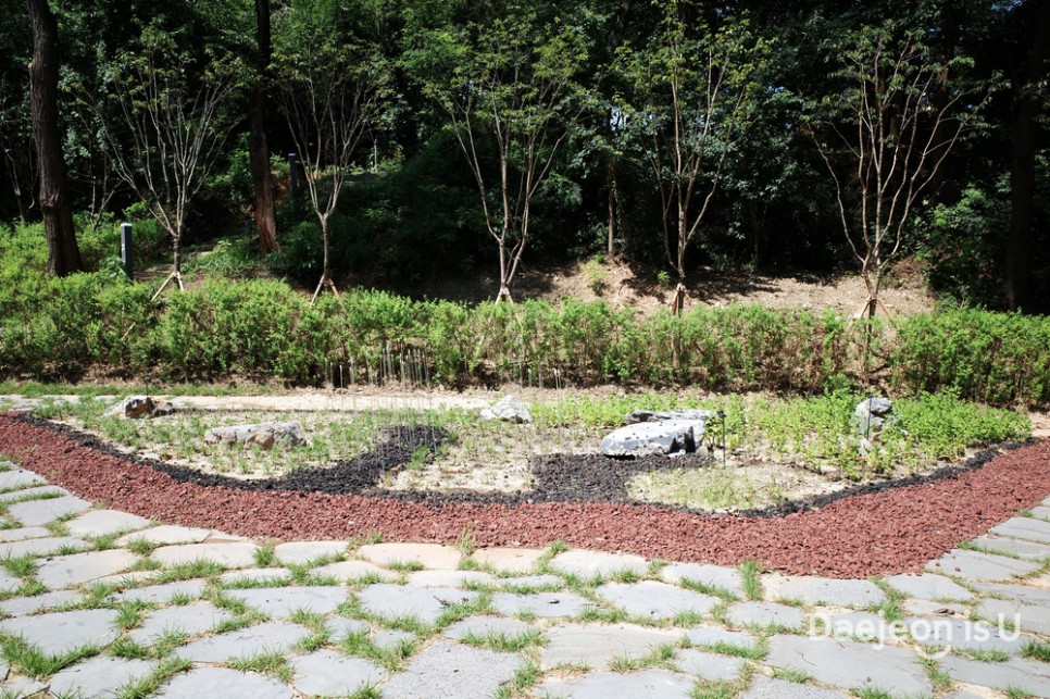 산 정상에서 타는 흔들그네, 밤 산책 코스가 멋진 송촌스포렉스 뒷산