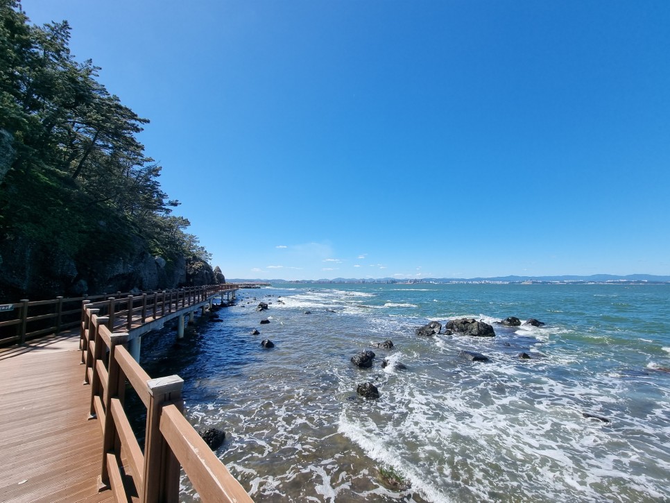 제주도 서귀포 가볼만한곳 제주 엘파소 산방산 카페