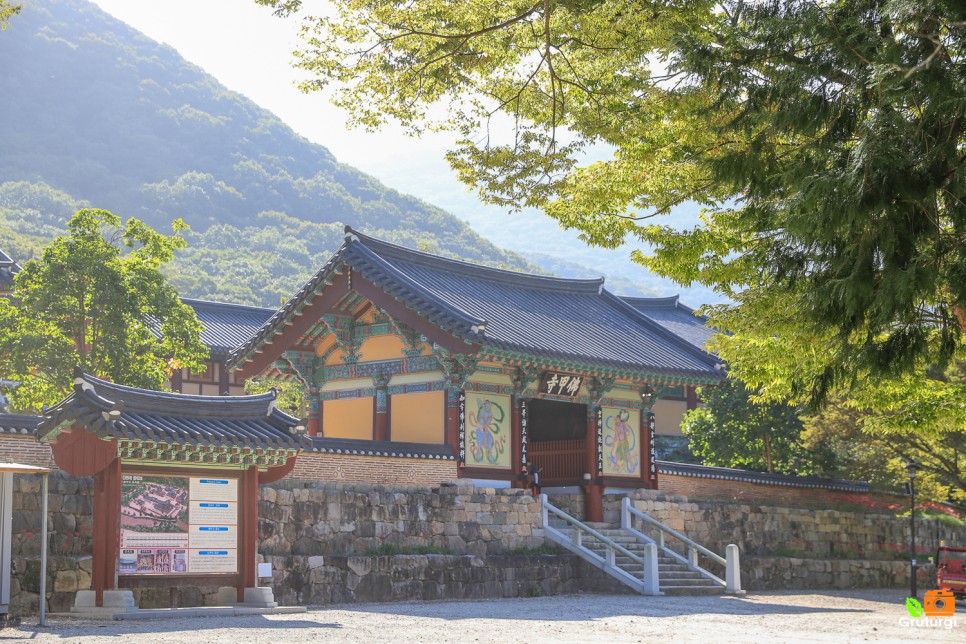 가을여행지 영광 불갑사 꽃무릇 불갑산 상사화 축제 전라도 여행지 추천