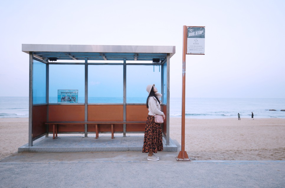 주문진 가볼만한곳 강릉 해피아워크루즈 색다른 여행