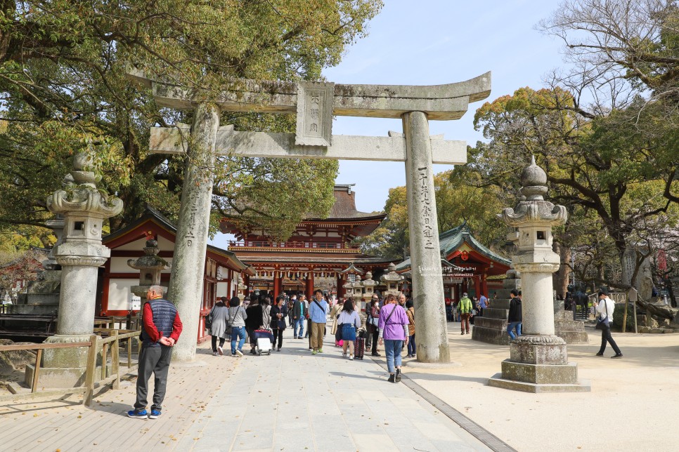 일본 여행 입국 비자 면제 무비자 조건 최신정보