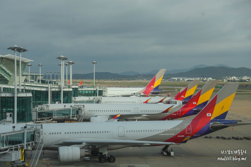 파리 항공권 아시아나 인천 파리 노선 기내식, 스마티움 비행기표 가격