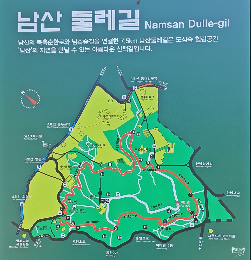 서울 산책하기 좋은곳 남산공원 둘레길 산책로 남산 야외식물원