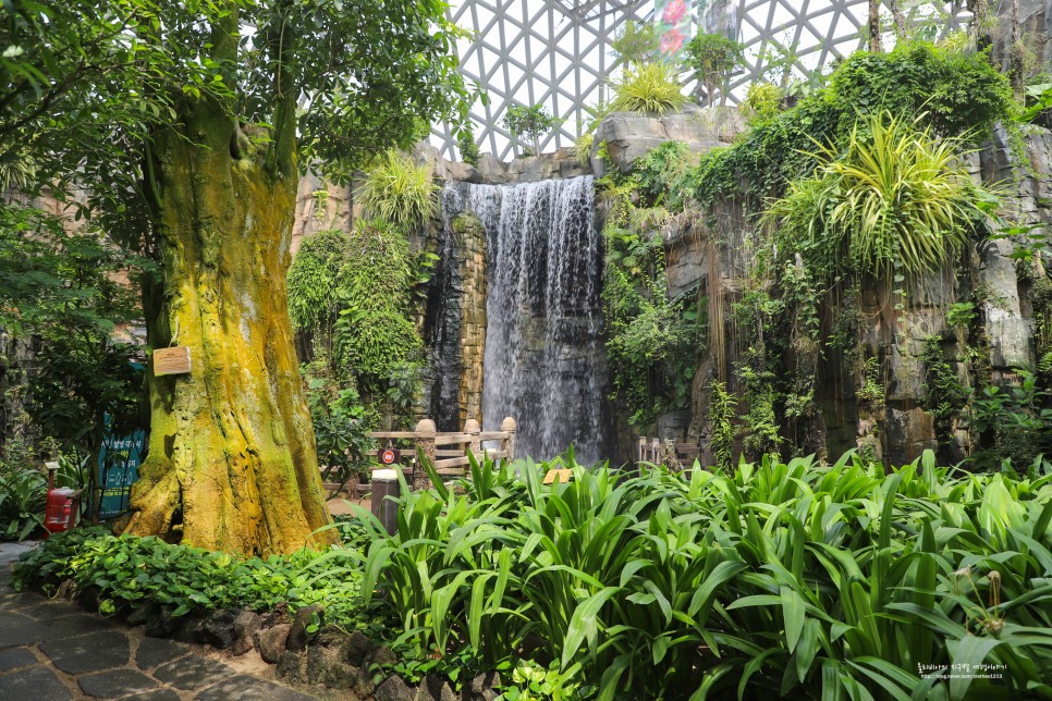 거제 여행 코스 식물원 거제 정글돔 수목원 정글타워 꿀잼