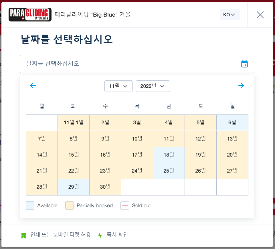 스위스 여행 인터라켄 패러글라이딩체험 할인받아 예약하기!