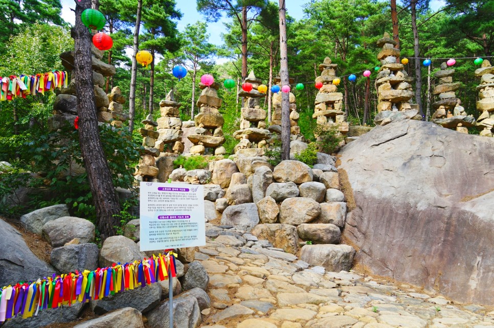 부산근교 가볼만한곳 합천 핑크뮬리 돌탑 황매산 정상 억새 축제