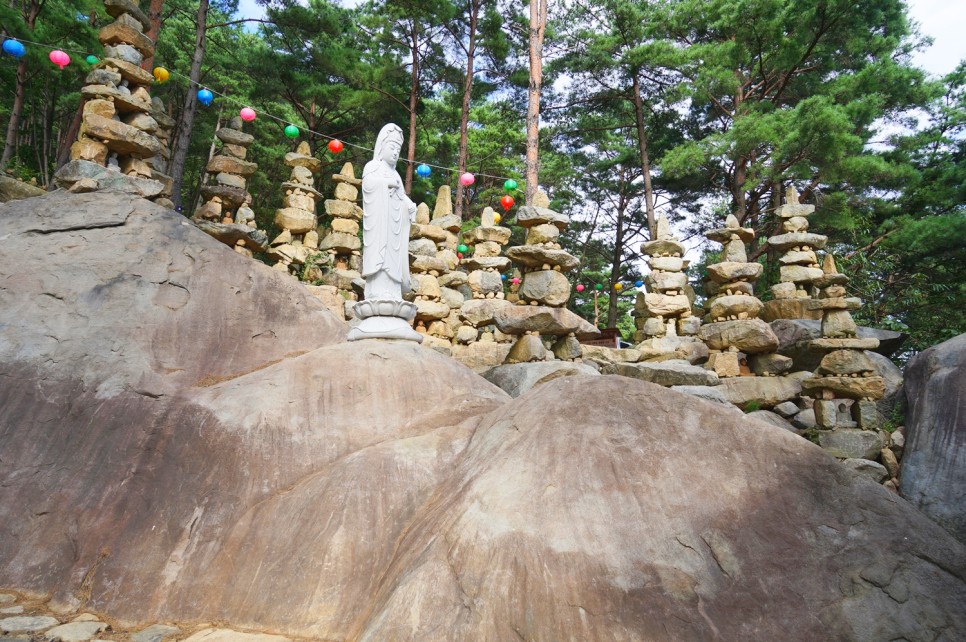 부산근교 가볼만한곳 합천 핑크뮬리 돌탑 황매산 정상 억새 축제
