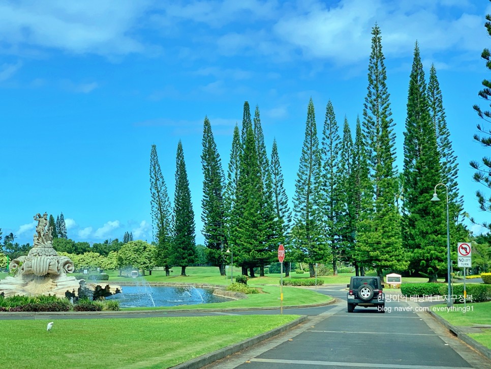 하와이 여행 이웃섬 카우아이 섬 베스트 비치