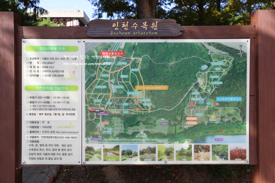 인천 당일치기 인천대공원 나들이 놀거리 수목원 장미원 꽃구경 주차 운영시간