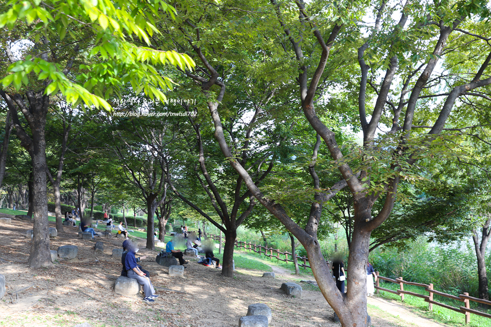 인천 당일치기 인천대공원 나들이 놀거리 수목원 장미원 꽃구경 주차 운영시간