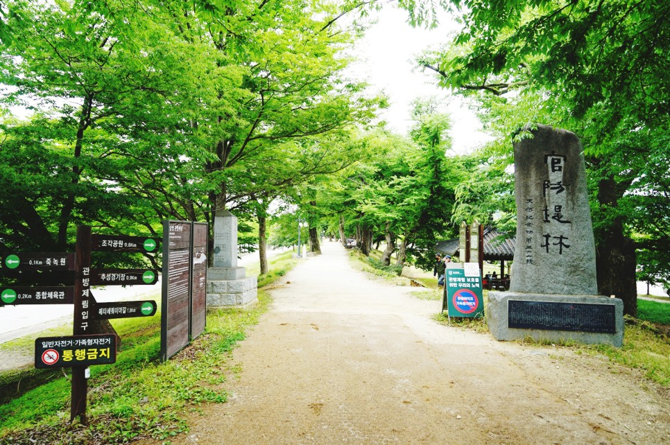 전라남도 담양 가볼만한곳 담양 죽녹원 등 여행 코스 5