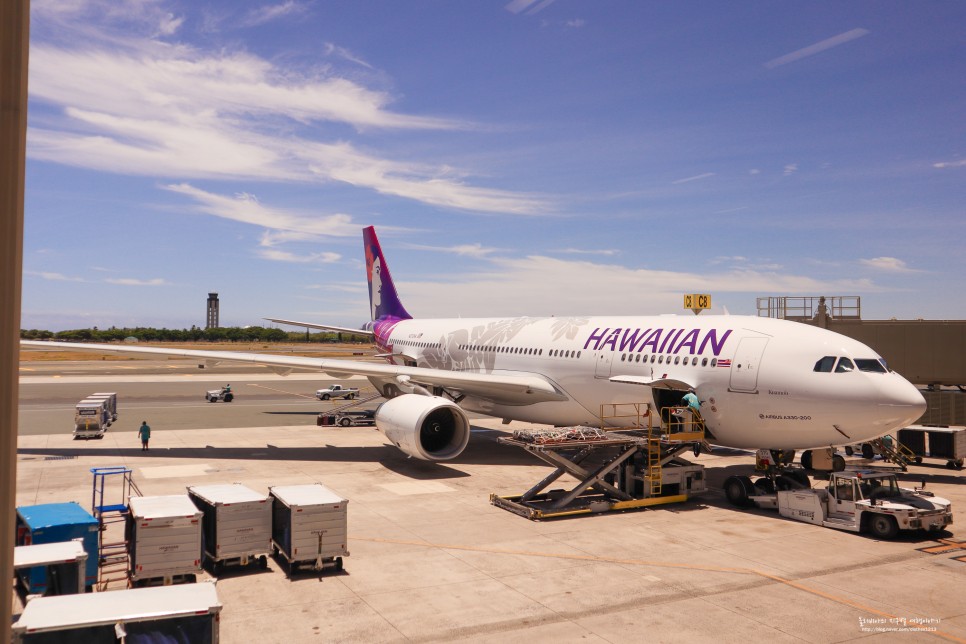 하와이 자유여행 팁 + 하와이 항공권 최저가 하와이안항공 기내식 및 탑승기