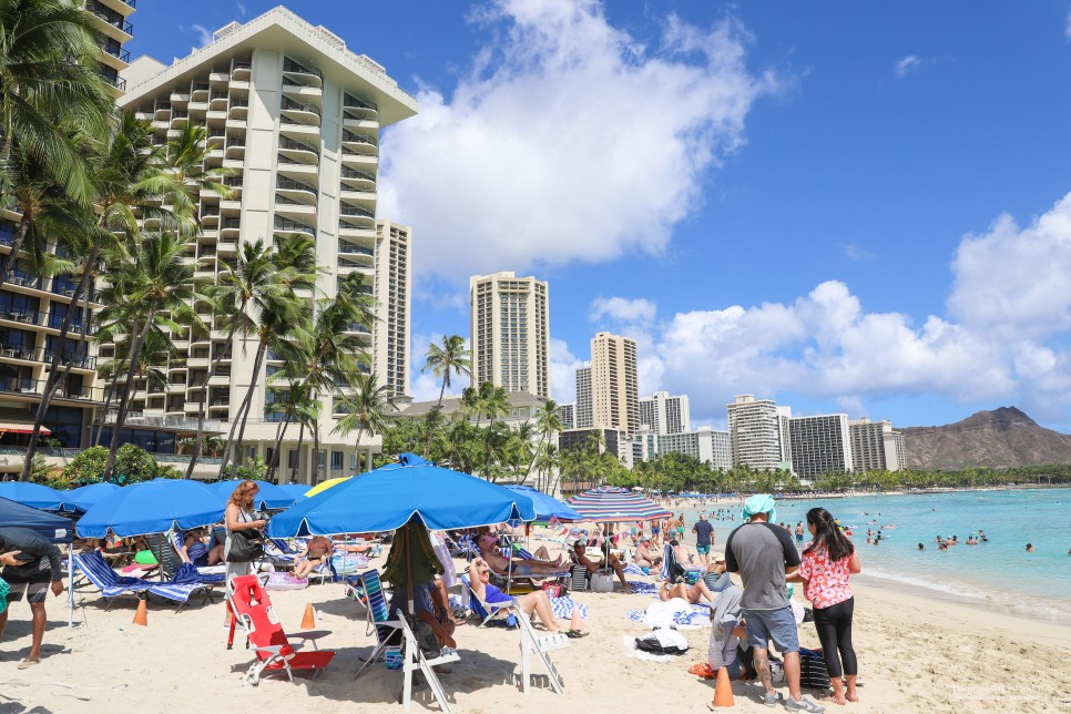 하와이 자유여행 팁 + 하와이 항공권 최저가 하와이안항공 기내식 및 탑승기