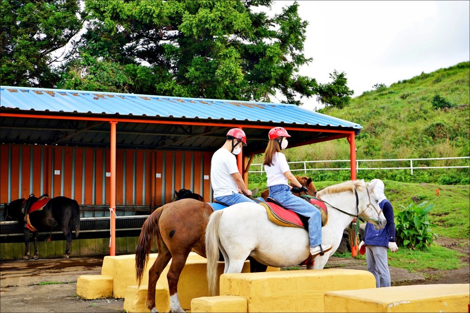 제주도 코스 승마체험 사진찍기 좋은 가을여행지 제주 스누피가든!